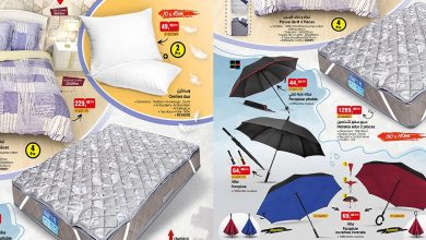 bim-11-novembre-2022