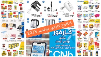 Catalogue Carrefour Novembre 2023