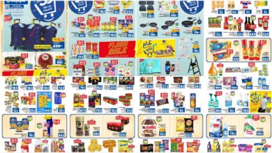 catalogue marjane novembre 2023
